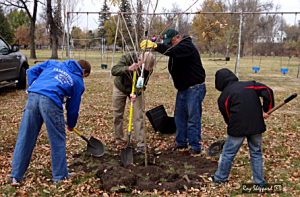 ArborDayPlant