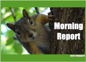 WBam8squirrel