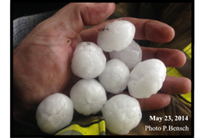 HailMay2014