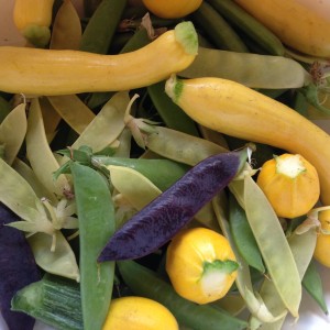 farmersmarketveggies