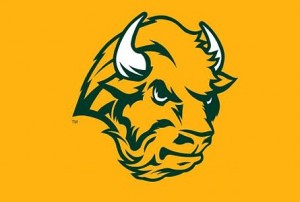 Bison FB logo