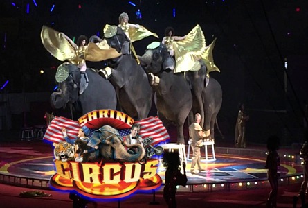 2019 Alzafar Shrine Circus Freeman Coliseum