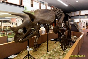 Gundy-Triceratops