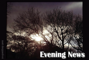 WBpm43TreeEveningSunsetSpring