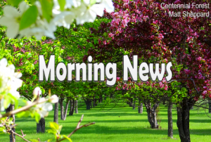 WBam45CrabAppleTrees