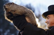 GroundHog