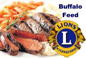 lionsBuffaloFeed1