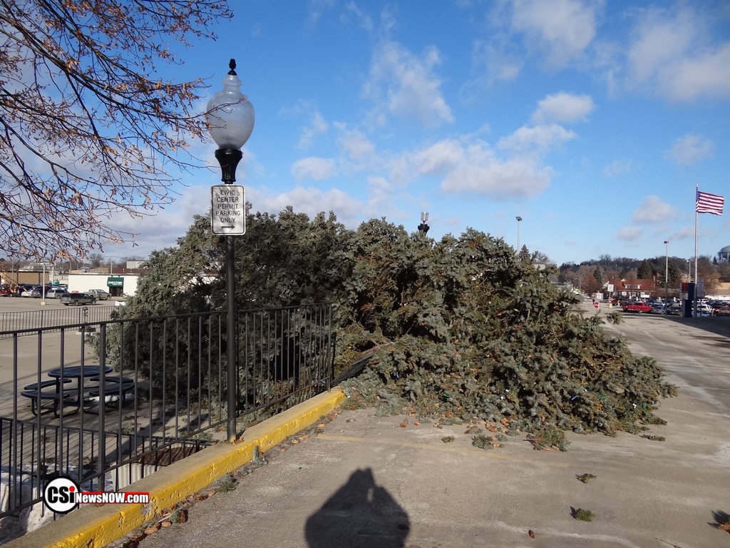 High winds take down Christmas Tree        CSi photos