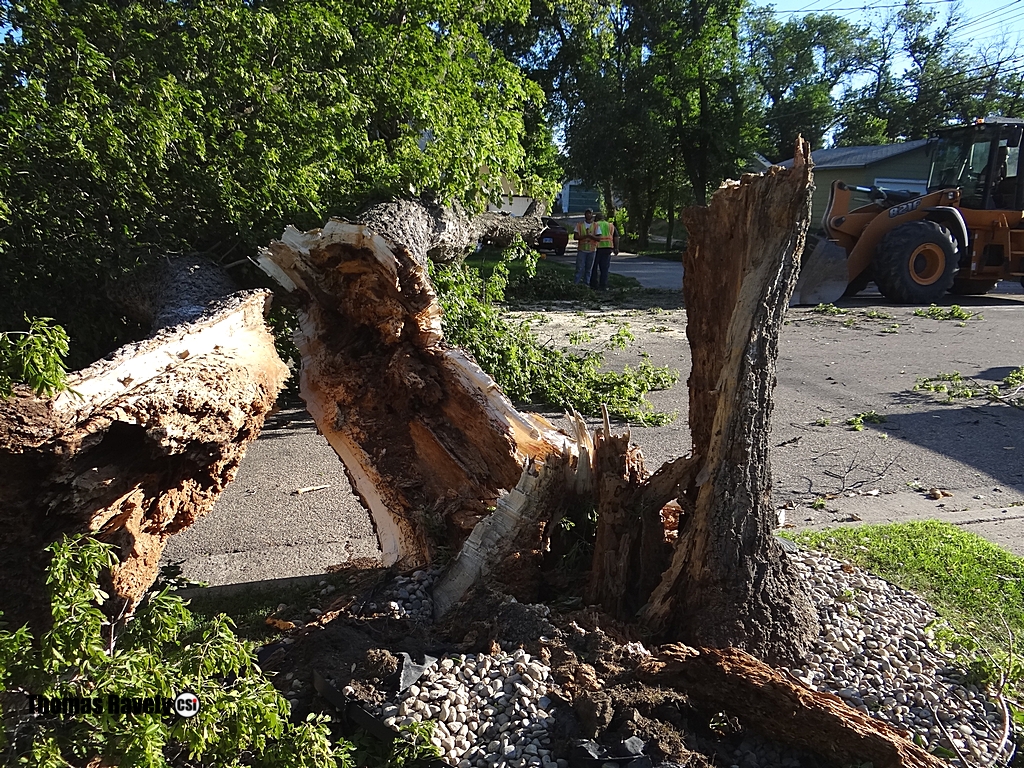 High wind damage July 28, 2015 Jamestown - CSi Photos T Ravely