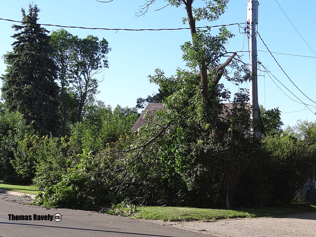 High wind damage July 28, 2015 Jamestown - CSi Photos T Ravely
