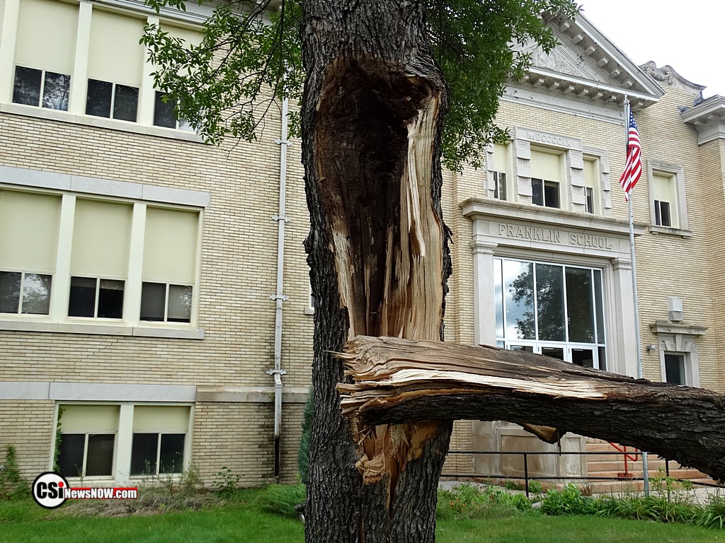 Tree Damage at Franklin    CSiphoto
