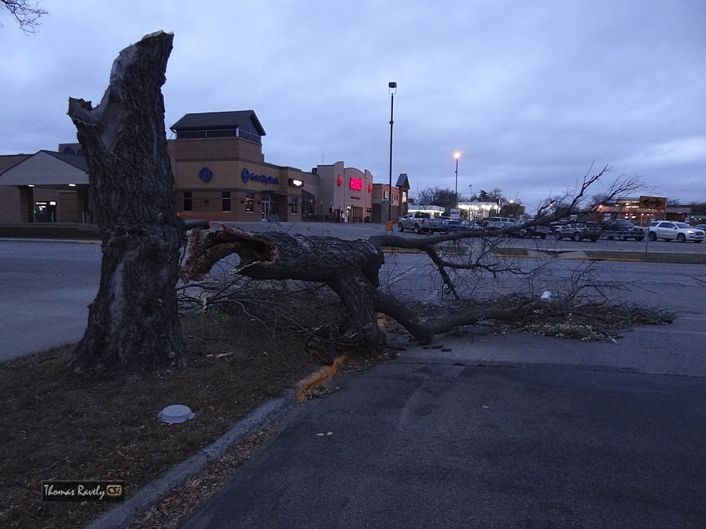 Highwind damage      CSi photo
