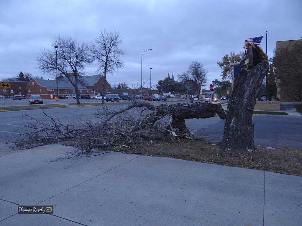 Highwind damage      CSi photo