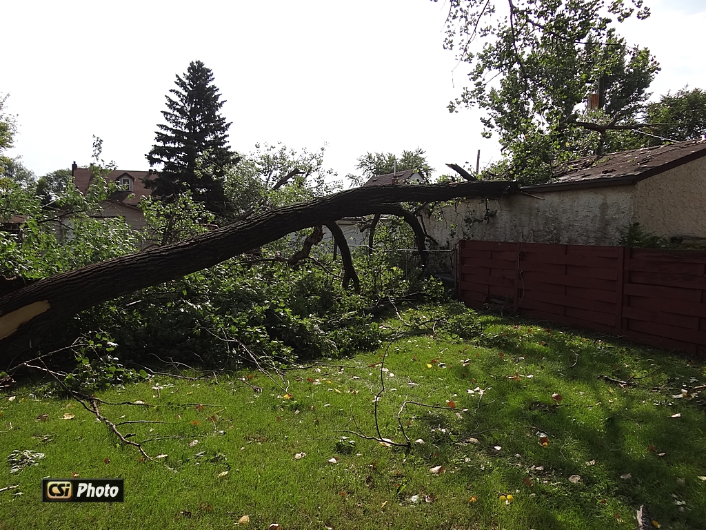 Thursday Morning Storm Damage. More at Facebook.  CSi photo