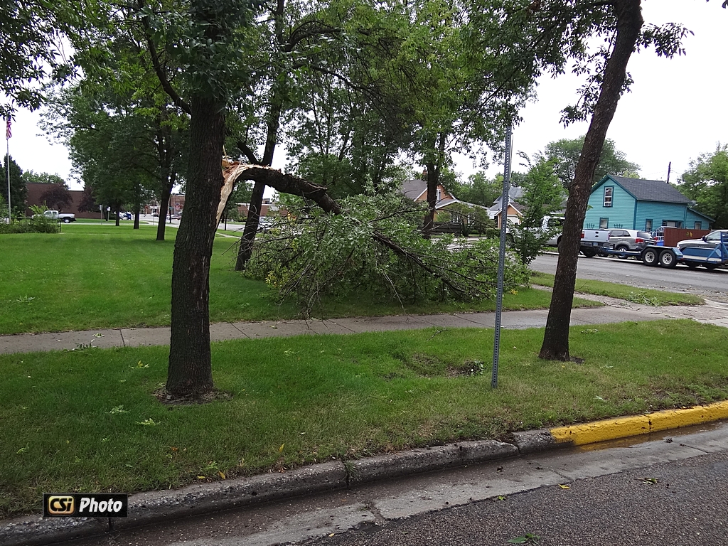 Thursday Morning Storm Damage. More at Facebook.  CSi photo