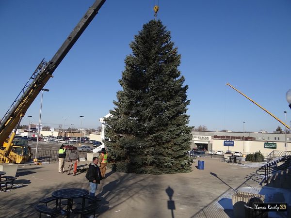 and in she goes..Jamestown ND Community Christmas Tree 2014 - CSi Photo
