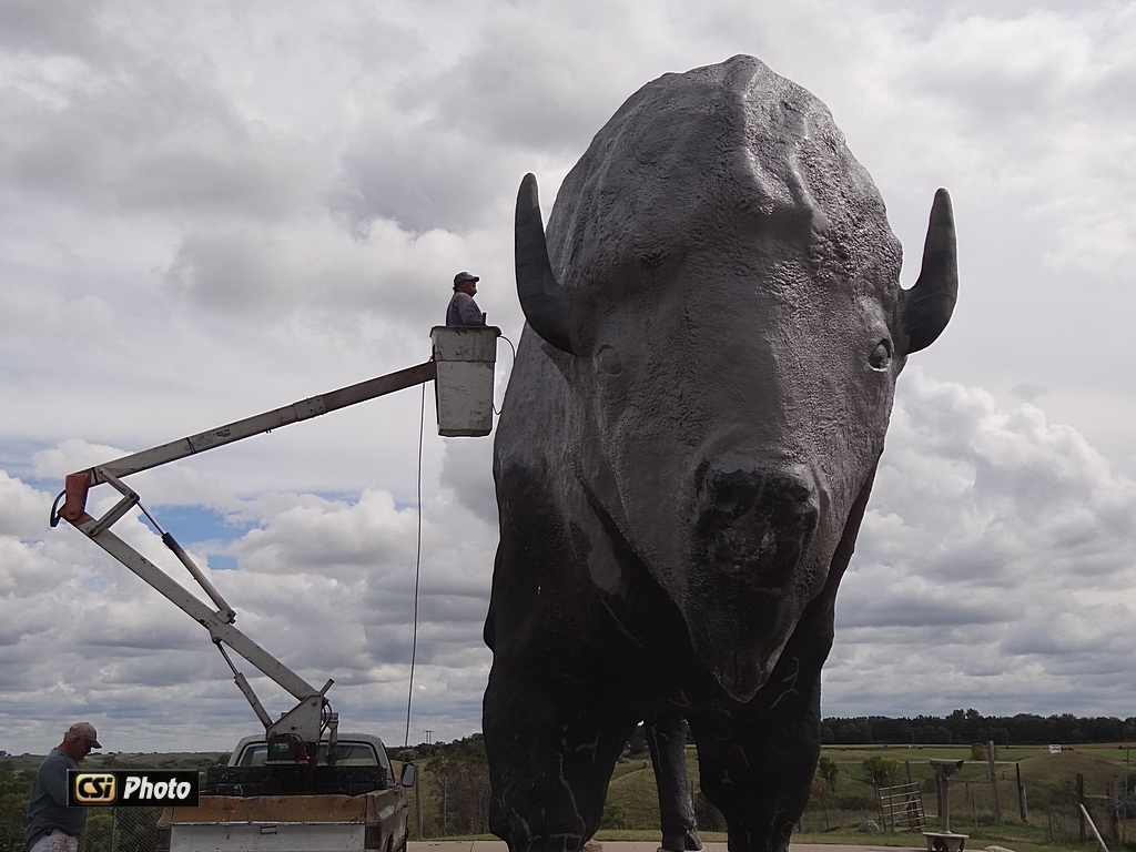 Priming World's Largest Buffalo for new coat of paint    CSI photos