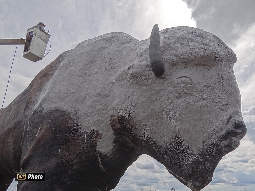 Priming World's Largest Buffalo for new coat of paint    CSI photos