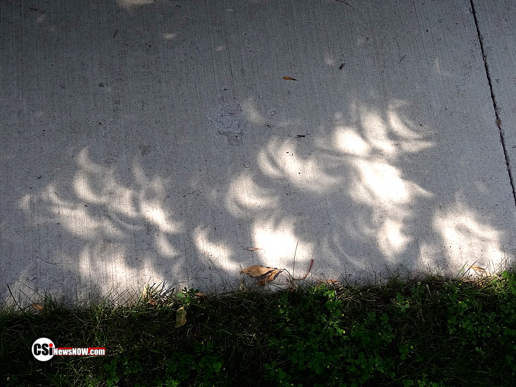 Eclipse Mon Aug 21 - CSi photo