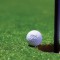 Blue Jays Girl’s Golf Qualifies For State