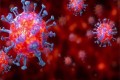 Rand Paul wants  origins of the coronavirus reviewed