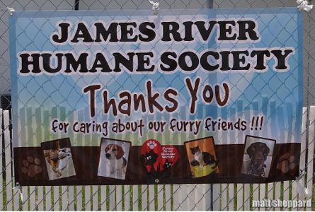 Humane Society Shelter Open Sundays To Public