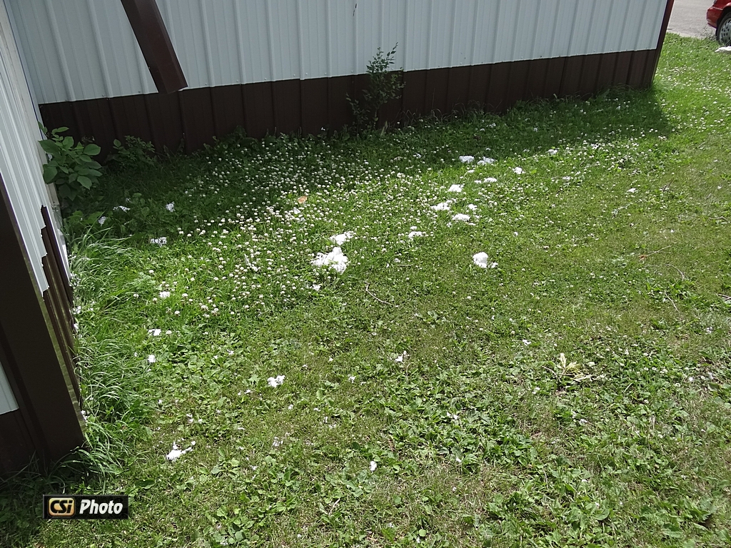 Weekend Wind damage  CSi Photo