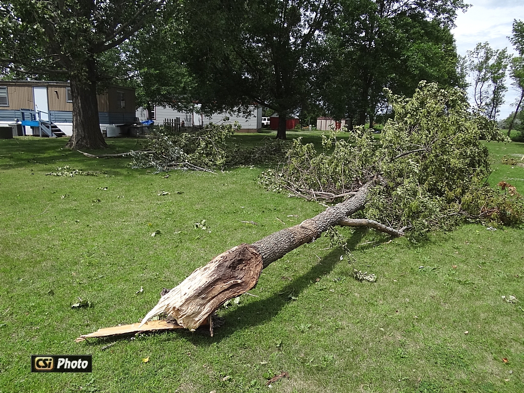 Weekend Wind damage  CSi Photo