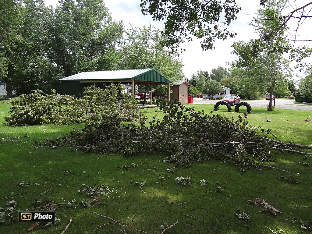 Weekend Wind damage  CSi Photo