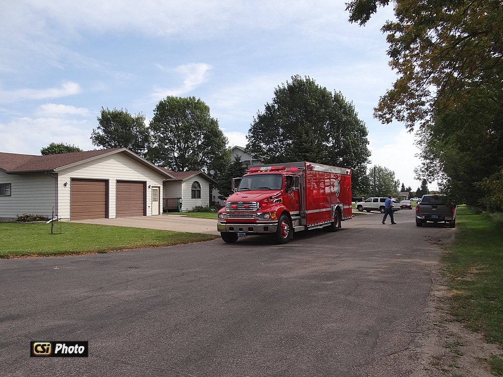 High Winds drop branch on 115,000 volt powerline    CSi photo