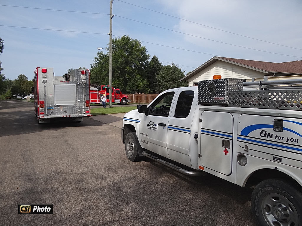 High Winds drop branch on 115,000 volt powerline    CSi photo