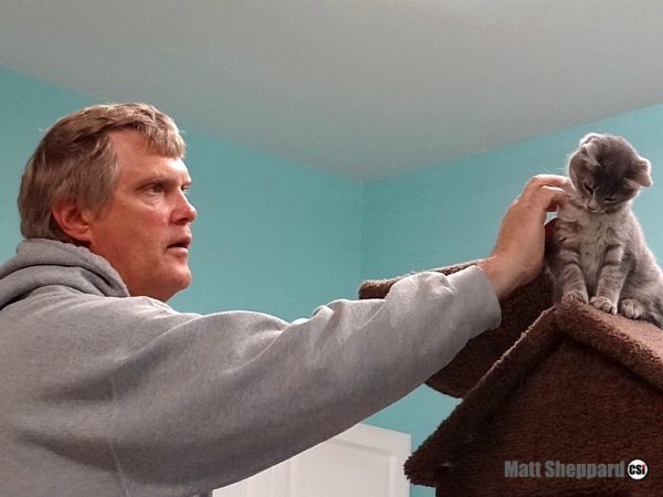 Happy Howl-o-ween from the Cats at James River Humane Society