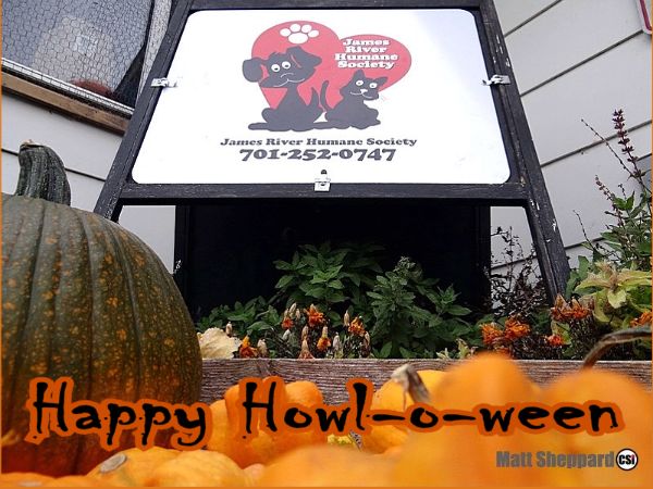 Happy Howl-o-ween from the Cats at James River Humane Society.
