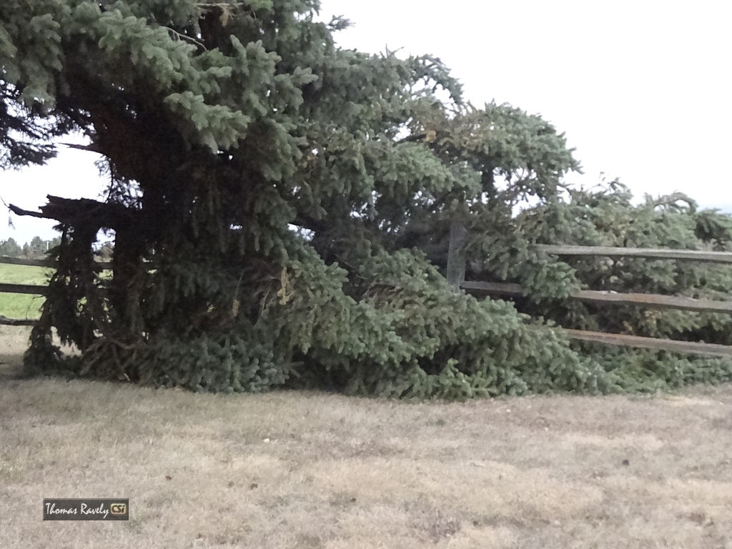 High Winds in Jamestown   CSi photo