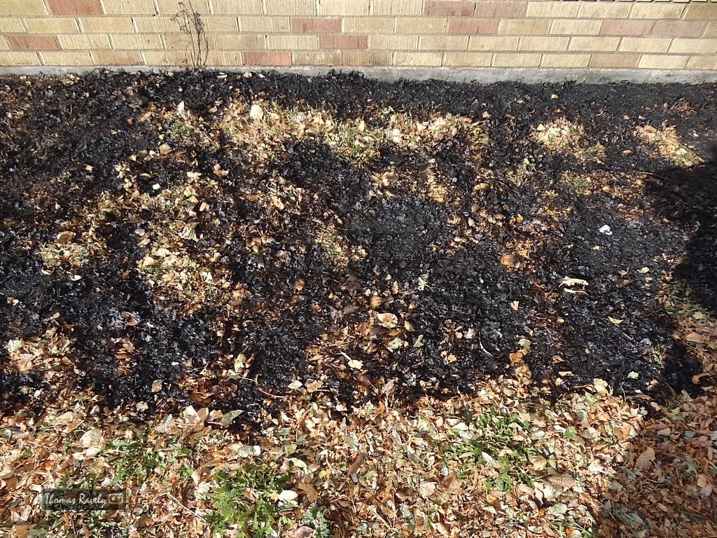 Grass Fire at 904 Thomas Ave NE    CSi photo