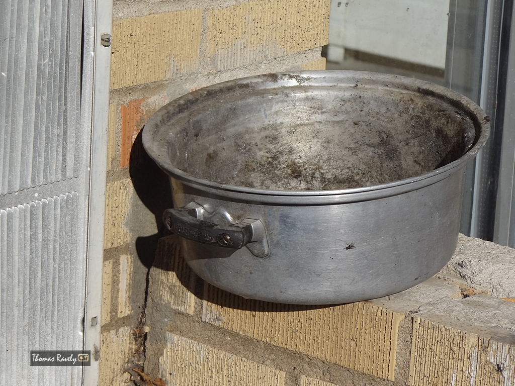 Grass Fire at 904 Thomas Ave NE    CSi photo