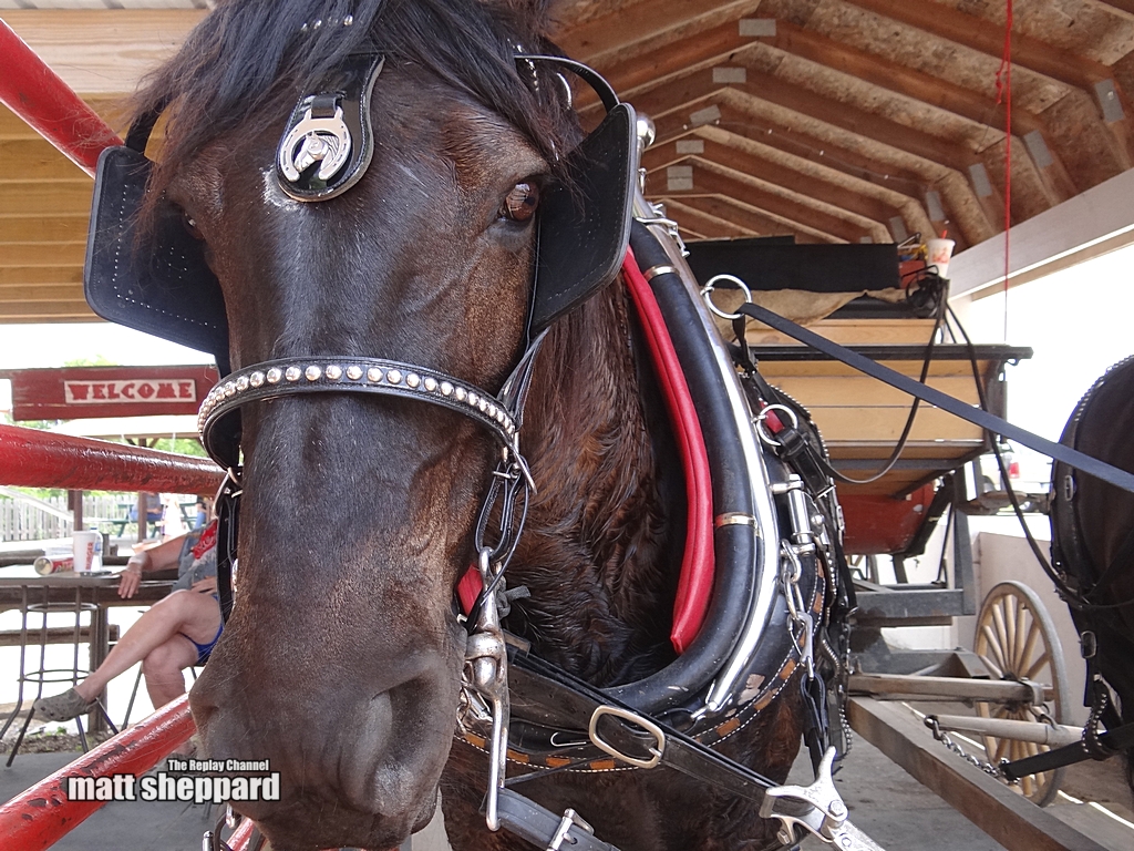 White Cloud Days photos Matt Sheppard - CSi TV - More at Facebook