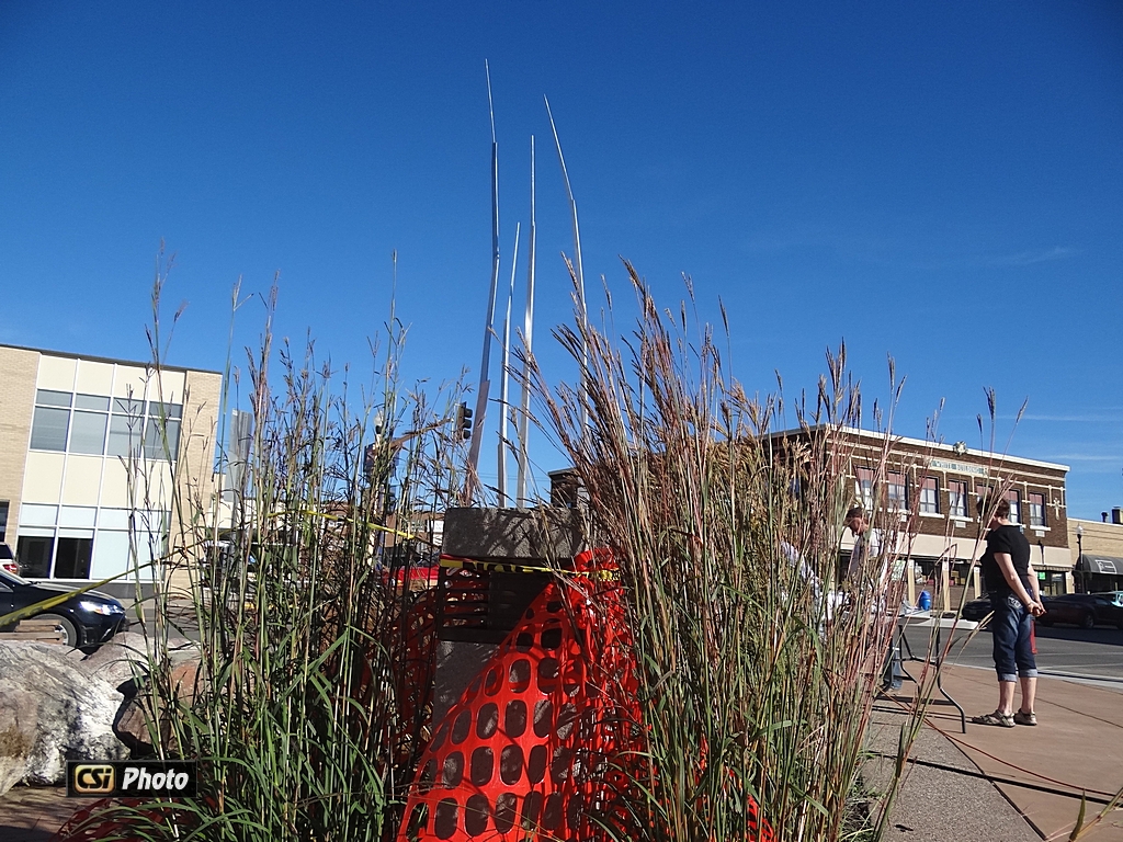 Praire Grass Ballet at Arts Park    CSi photos