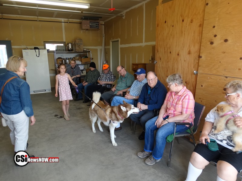 Roseadele Dog Show     CSi Photo