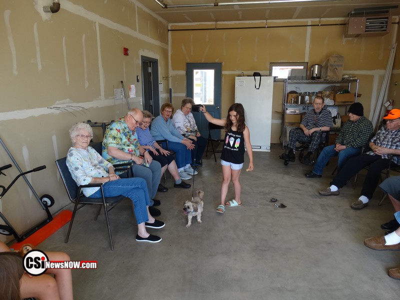 Roseadele Dog Show     CSi Photo