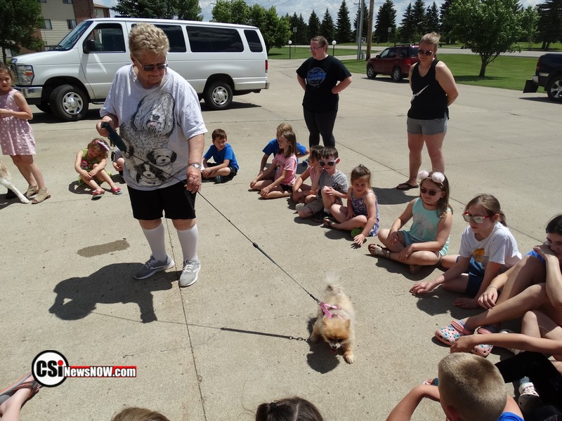 Roseadele Dog Show     CSi Photo