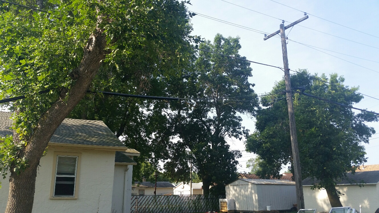 CenturyLink line torn down by sewer truck - CSi photos